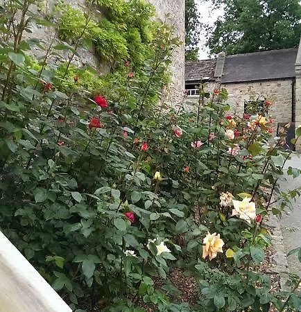 The Saddle * Middleham